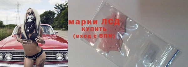 индика Армянск