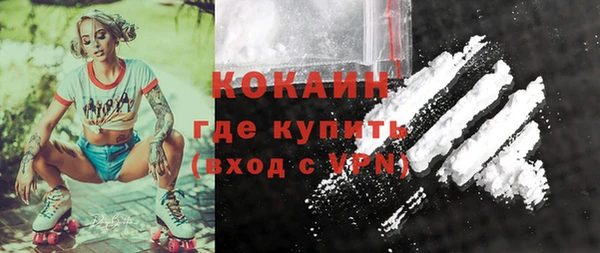 индика Армянск