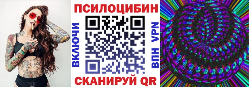 блэк спрут зеркало  Сясьстрой  Галлюциногенные грибы ЛСД 